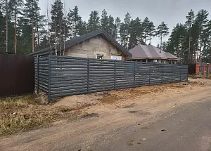 Ламелии в пос. Правдино