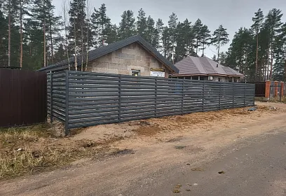 Ламелии в пос. Правдино