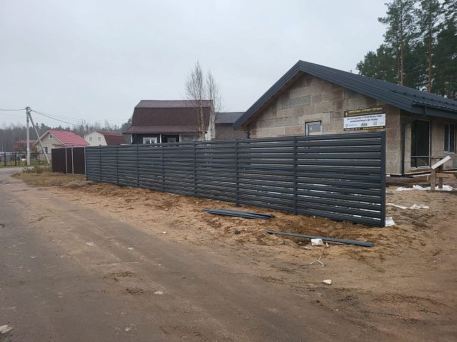Ламелии в пос. Правдино